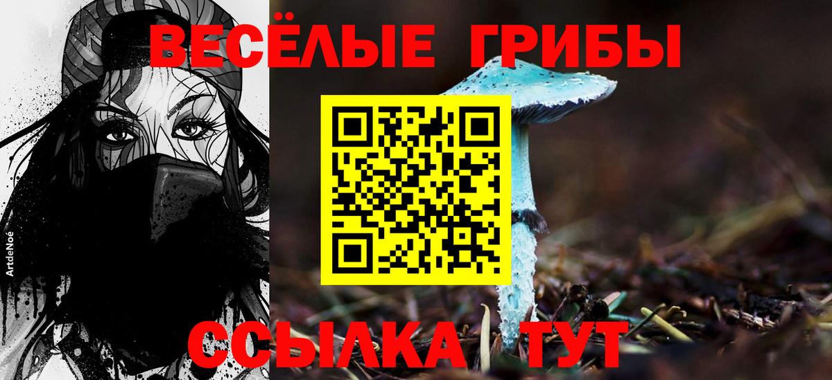 Фурманов  Галлюциногенные грибы Psilocybine cubensis  Вход с VPN 